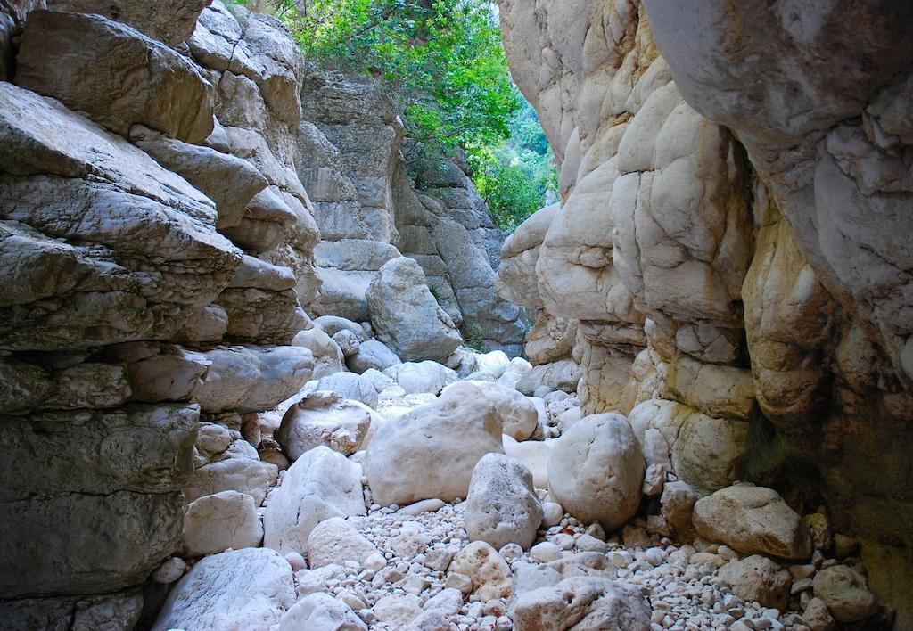 琳芬山沟乡村酒店 La Vall d'Ebo 外观 照片